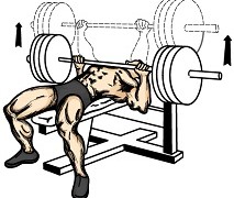 Bench Press Workouts For Beginners – Tips And Advice